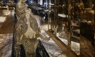 CFI Dubai: “A Luxurious Night Where Flavor and Splendor Meet Thrill